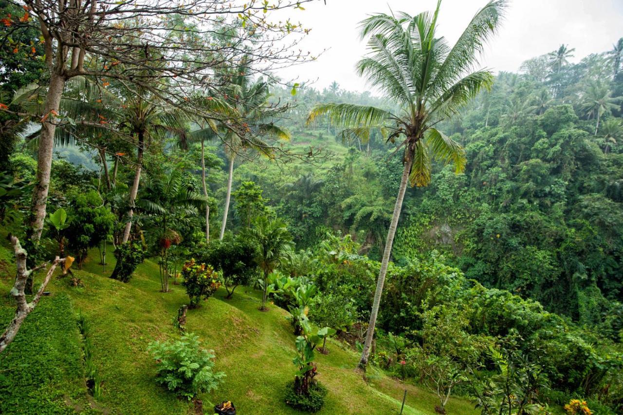 Beji Ubud Resort Exterior photo